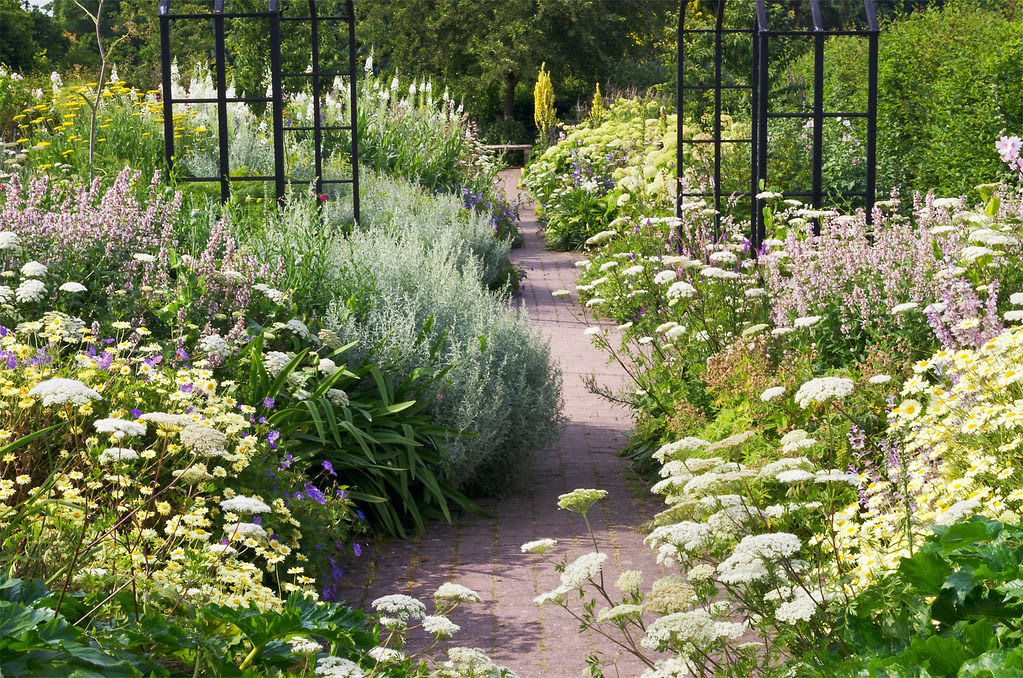 3plantes vivaces pour le jardin
