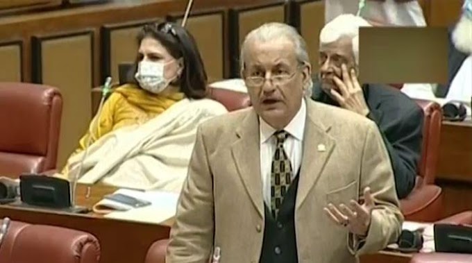 TTP ceasefire deal: Senator Rabbani demands to know conditions of agreement