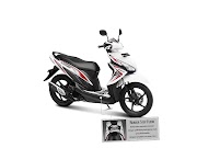 21+ Radiator Vario 110 Fi