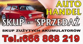 Formularz wyrejestrowania auta