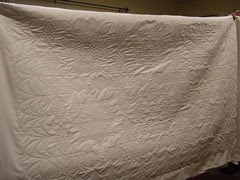 One Half of the back