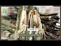 HOW TO MAKE TUPIG?