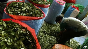 Coca leaves at Bolivian market (AP)
