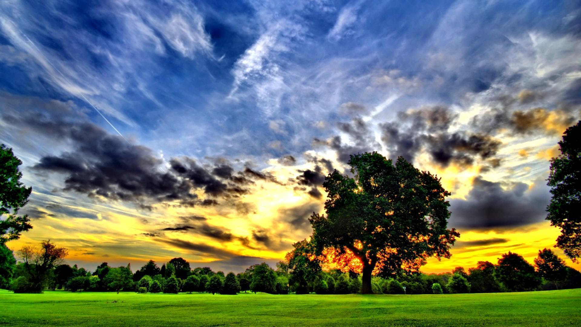 Beautiful Nature Backgrounds Wallpaper Cave