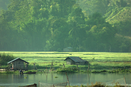 Green Lush Valley