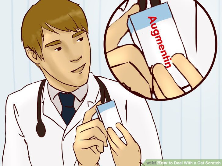 Deal With a Cat Scratch Step 10.jpg