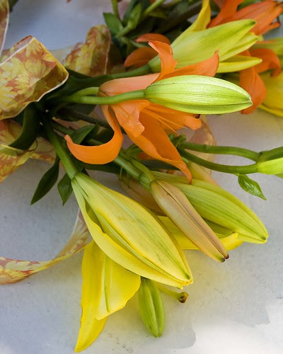 blog_flowers