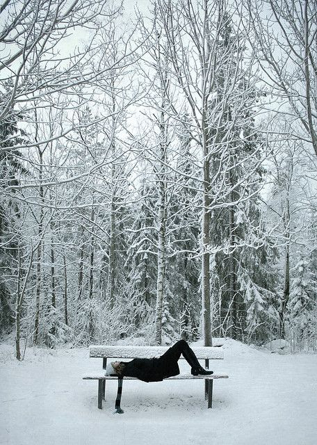 Winter Day