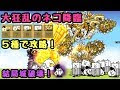 [最も人気のある！] にゃんこ 大狂乱 ネコモヒカン 311949-にゃんこ 大狂乱 ネコモヒカン