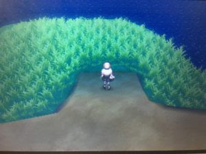 ポケモン サンムーン デリバードの出現場所はココだ 3番道路の特定の草むらにしか出ないので注意 Gamestage ゲーム速報