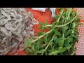 Khmer food cooking - Fresh Trakaun with fresh fish