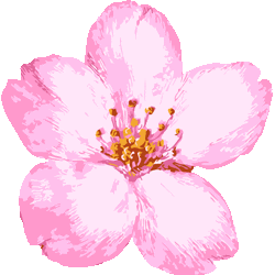 ブラシタッチさくら No 307 ペイントタッチ桜のイラスト アイコン 条件付フリー素材集 スマホなど携帯電話対応