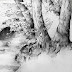 Realistic Drawings Of Nature - » Fundamentals of Tonal Drawing : We can never disagree that whenever we see the original image of a natural landscape the only word that come from our mind is wow.
