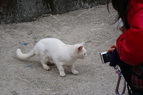 DSC04910.JPG