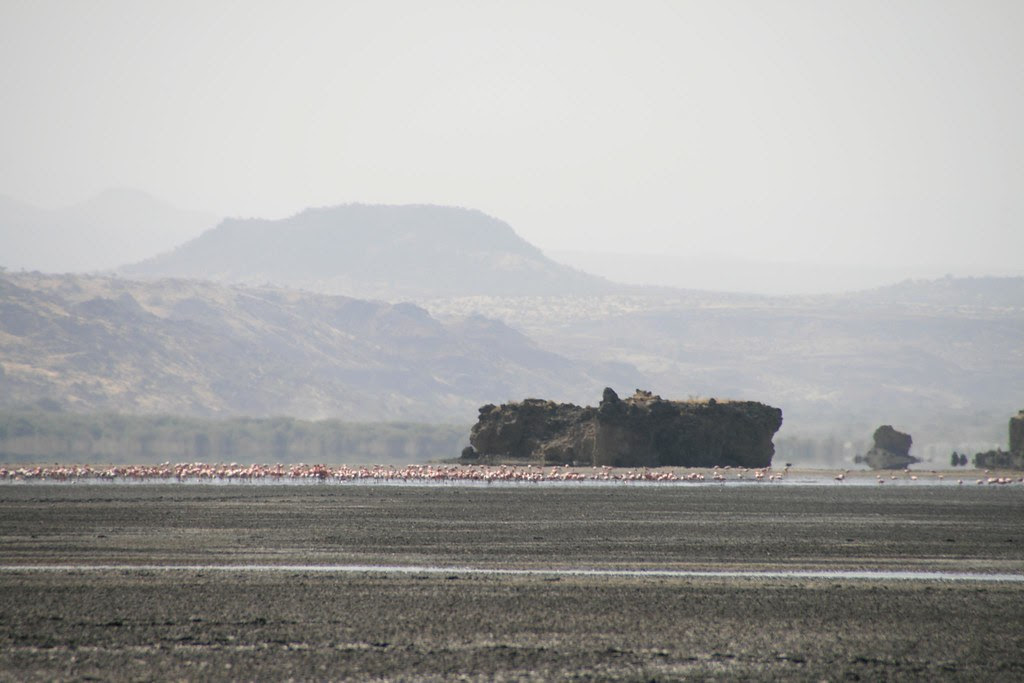 Lake Natron