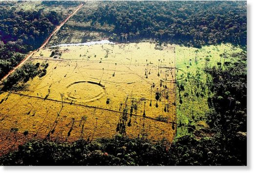 geoglifos en Amazonia 2