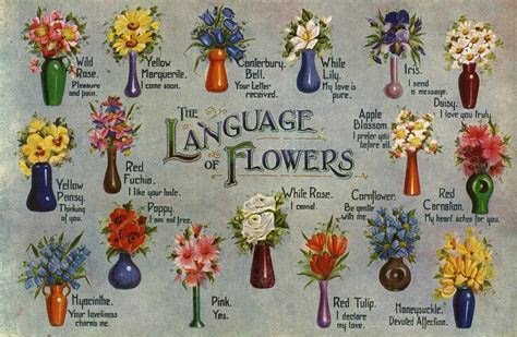Learn more about the history of infiniti as a company and other facts to deepen your understandi. Flower Meanings: Symbolism of Flowers, Herbs, and More