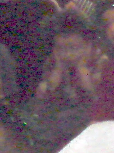 DSC03021