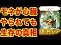 √1000以上 ワンピース モネ 心臓 298192-ワンピース モネ 心臓