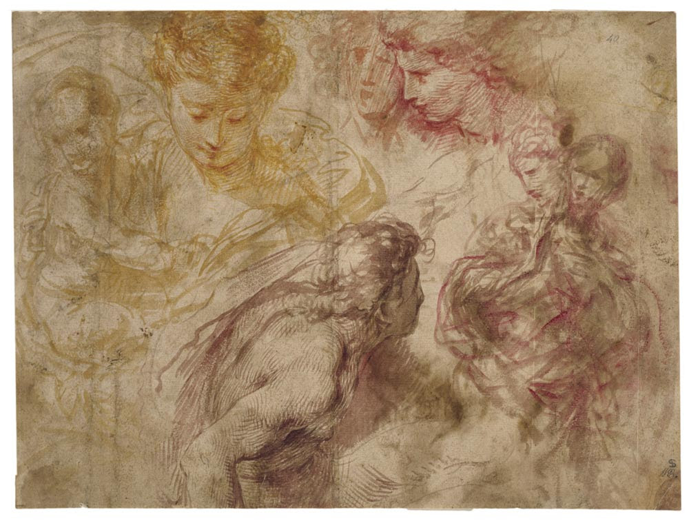 What Is Drawing Victoria And Albert Museum Drawings and pictures are more than mere ornaments in scientific discourse.