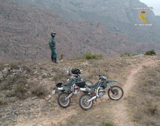 Investigación del SEPRONA, monte