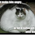 Fat Dog Meme : Fat Dog Memes. Best Collection of Funny Fat Dog Pictures - Over 45 fat dog posts sorted by time, relevancy, and popularity.