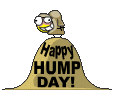 Hump Day