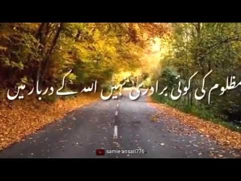 maulana tariq jameel whatsapp status||tariq jameel||tariq jameel status