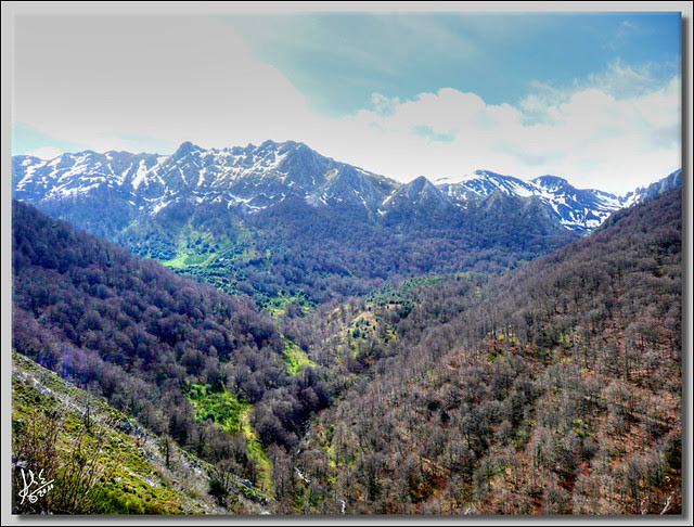 BRAÑAGALLONES 6MR