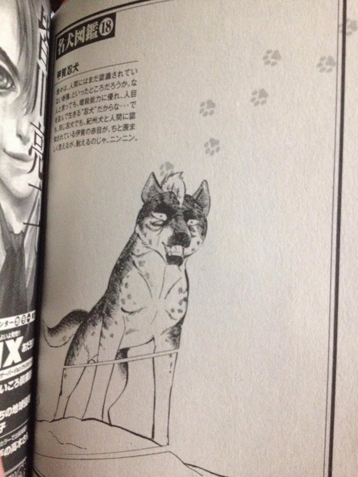 Ginga Board Breed Trouble Shooting