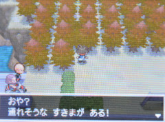 隠し穴の場所と出現するポケモン ポケモン ブラック2 ホワイト2 Bw2 攻略広場