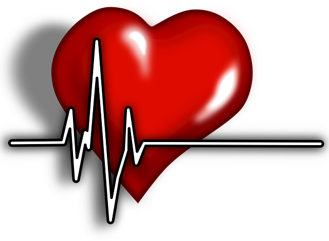 http://pixabay.com/static/uploads/photo/2013/07/13/09/48/cardiac-156059_640.png