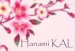Hanami Stole Knitalong