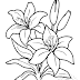 Flower Coloring Pages Pdf : A4, international paper size pdf (210 x 297 mm).