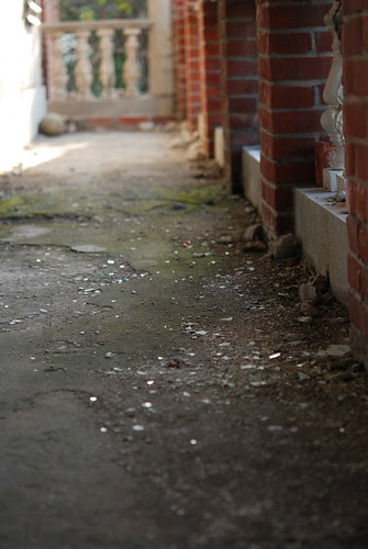 DSC_8738