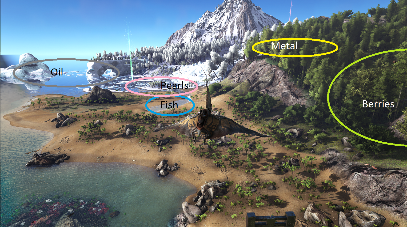 Looking For Ideal Single Player Base Location The Island Playark
