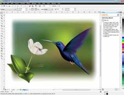 CorelDRAW Home and Student Suite X5--Mesh