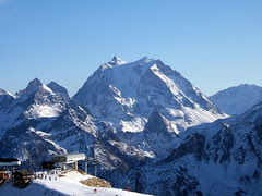 DSCF1686