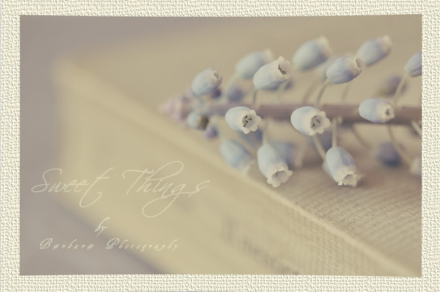 {  Sweet Things  }
