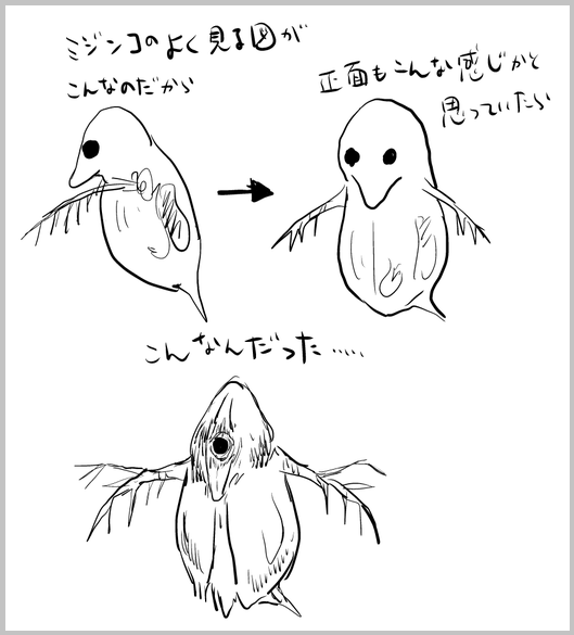 衝撃の真実 ミジンコの目は一つしかなくて正面から見ると全然可愛くない 泣 Netgeek