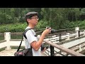 Video Canon 550D vs Nikon D3100