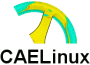 cae