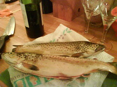 Dinner