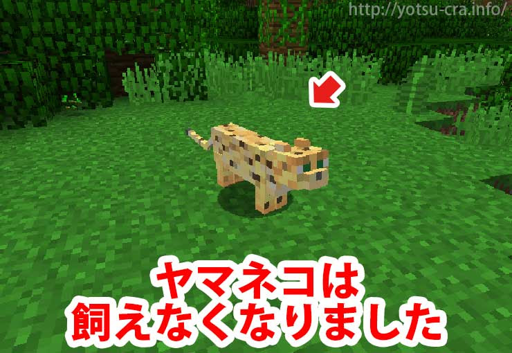 マインクラフト 猫の見た目全種類まとめ 村から連れて帰ろう