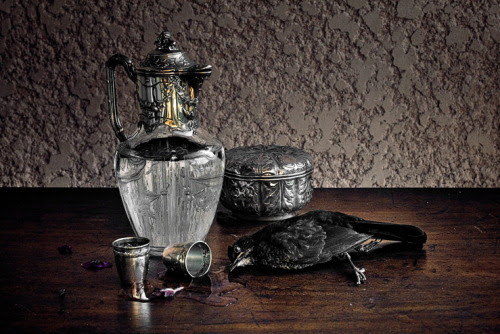 Black Bird