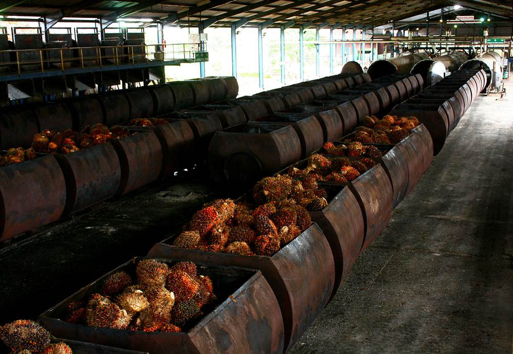 Daftar NamaNama Pabrik Kelapa Sawit di Sumatera