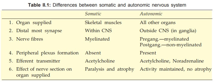 Organization And Function Autonomic Nervous System Pharmacology