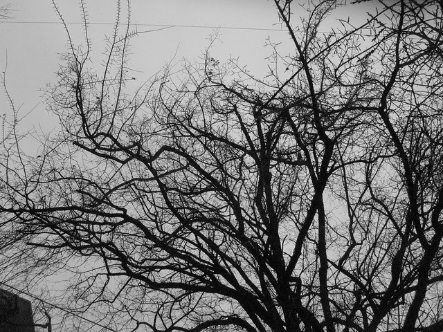 utter greyness