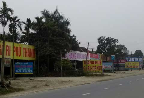 Dày đặc nhà hàng đặc sản gà ri.