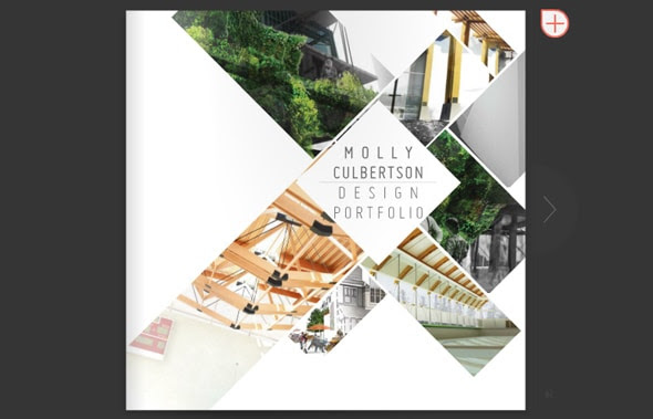 Collected design works Portfolio Layouts